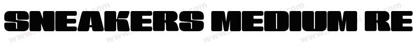SNEAKERS MEDIUM REGULAR字体字体转换